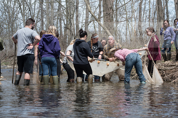Biology Stream Clean Up - Canfield Preserve