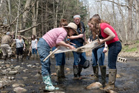 Biology Stream Clean Up - Canfield Preserve