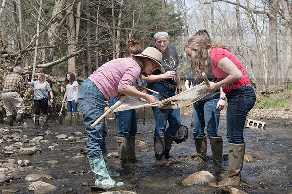 Biology Stream Clean Up - Canfield Preserve