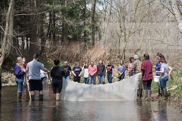 Biology Stream Clean Up - Canfield Preserve