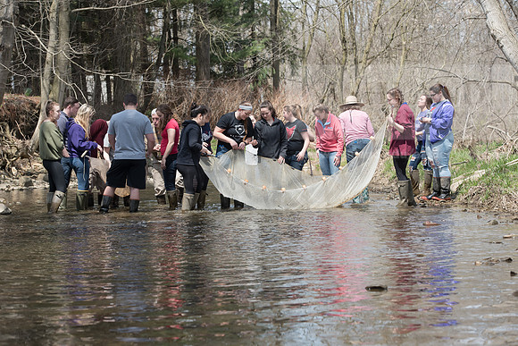 Biology Stream Clean Up - Canfield Preserve