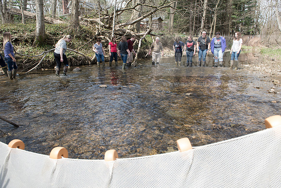 Biology Stream Clean Up - Canfield Preserve