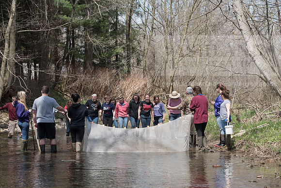 Biology Stream Clean Up - Canfield Preserve