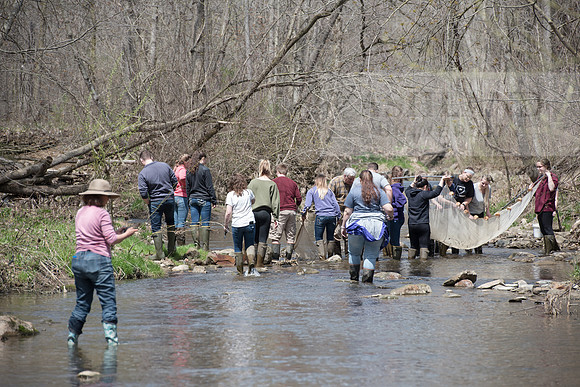 Biology Stream Clean Up - Canfield Preserve