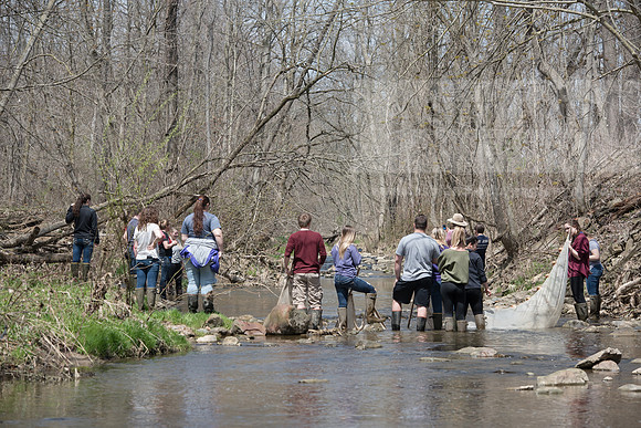 Biology Stream Clean Up - Canfield Preserve