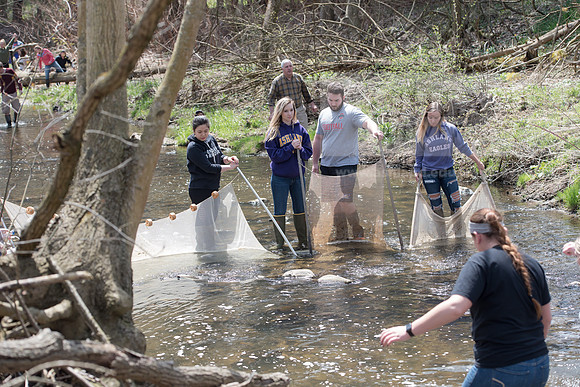 Biology Stream Clean Up - Canfield Preserve