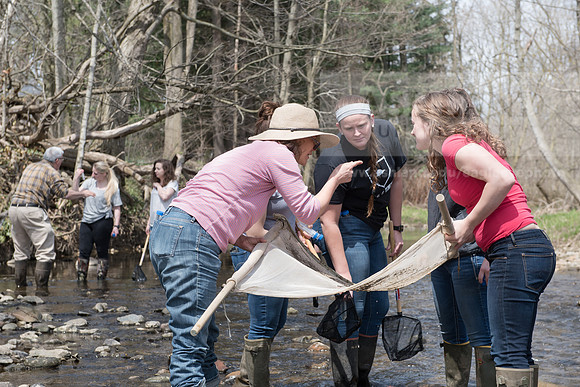 Biology Stream Clean Up - Canfield Preserve