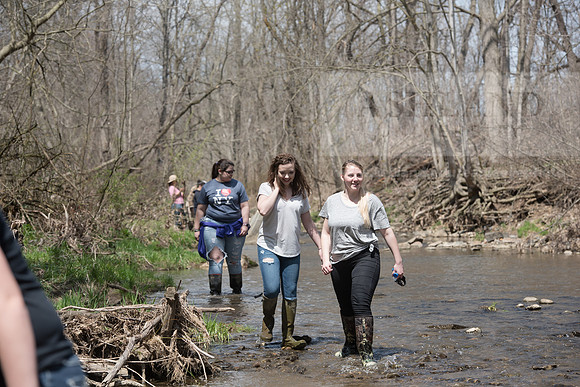 Biology Stream Clean Up - Canfield Preserve