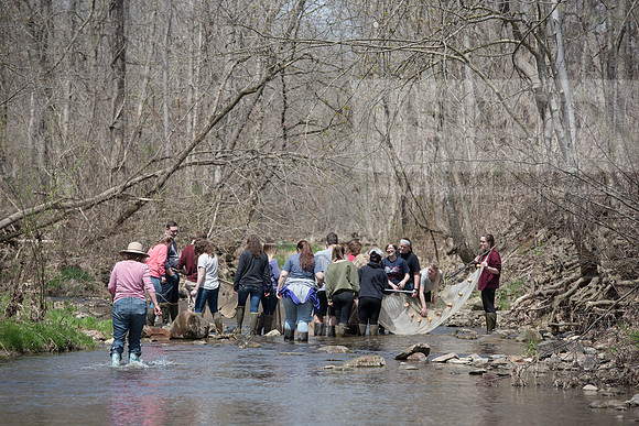 Biology Stream Clean Up - Canfield Preserve