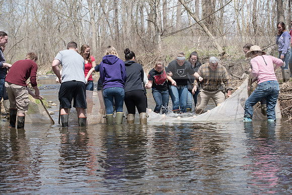 Biology Stream Clean Up - Canfield Preserve