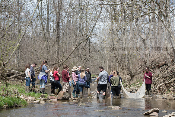 Biology Stream Clean Up - Canfield Preserve