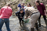 Biology Stream Clean Up - Canfield Preserve