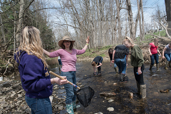 Biology Stream Clean Up - Canfield Preserve