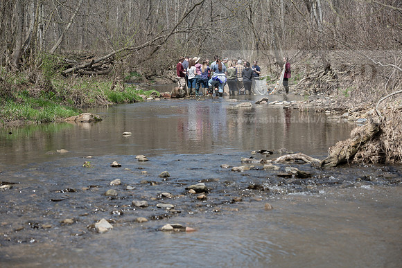 Biology Stream Clean Up - Canfield Preserve