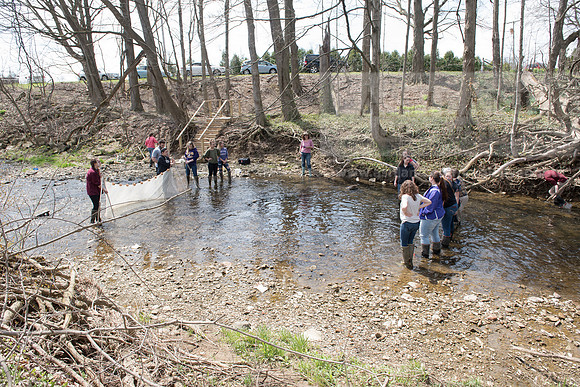 Biology Stream Clean Up - Canfield Preserve
