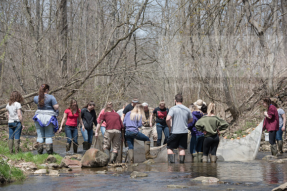 Biology Stream Clean Up - Canfield Preserve