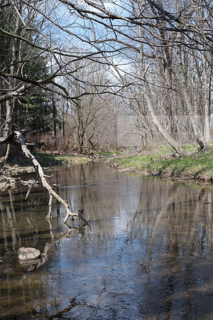 Biology Stream Clean Up - Canfield Preserve