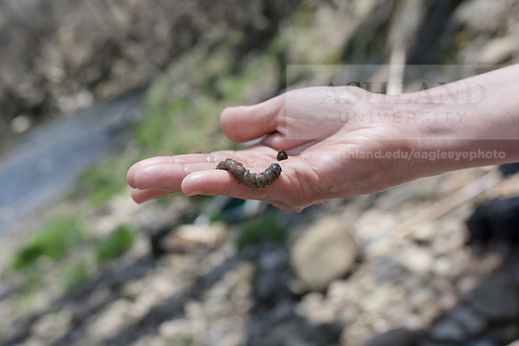 Biology Stream Clean Up - Canfield Preserve
