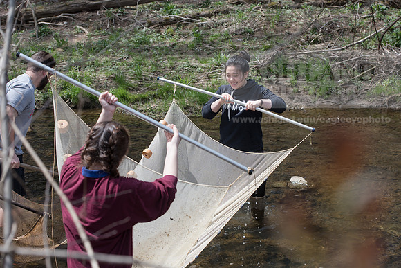Biology Stream Clean Up - Canfield Preserve