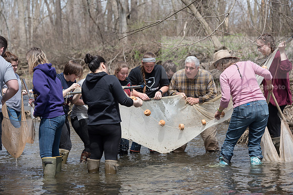 Biology Stream Clean Up - Canfield Preserve