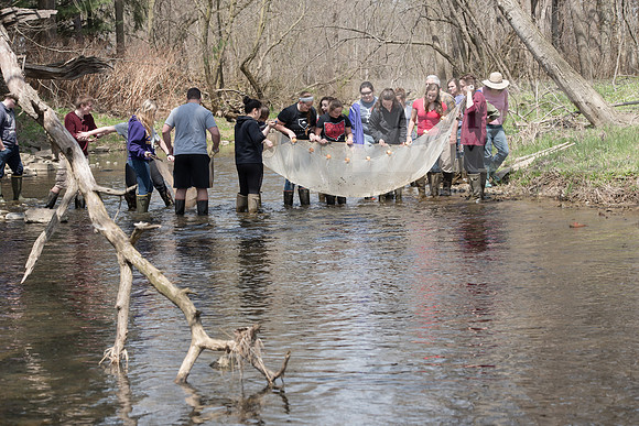 Biology Stream Clean Up - Canfield Preserve