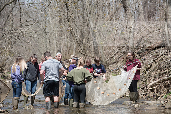 Biology Stream Clean Up - Canfield Preserve