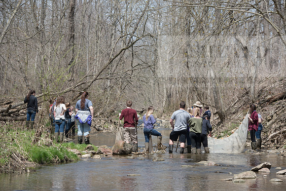 Biology Stream Clean Up - Canfield Preserve