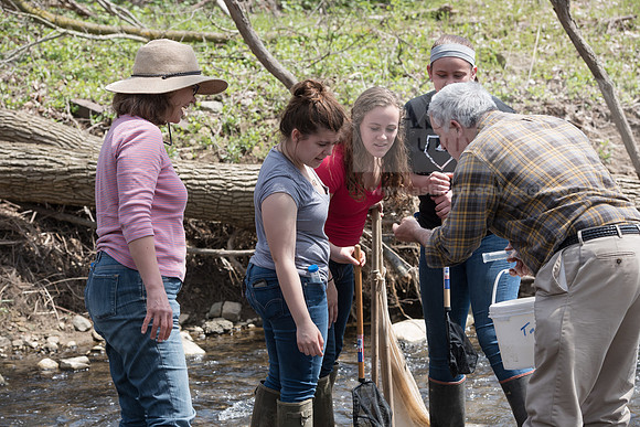 Biology Stream Clean Up - Canfield Preserve