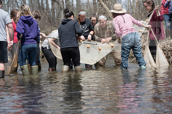 Biology Stream Clean Up - Canfield Preserve