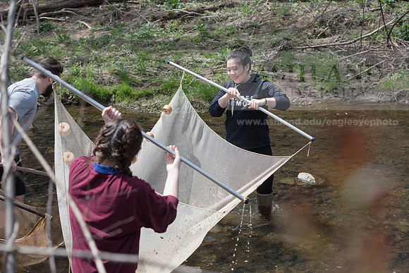 Biology Stream Clean Up - Canfield Preserve