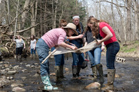 Biology Stream Clean Up - Canfield Preserve
