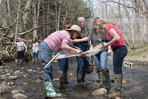 Biology Stream Clean Up - Canfield Preserve