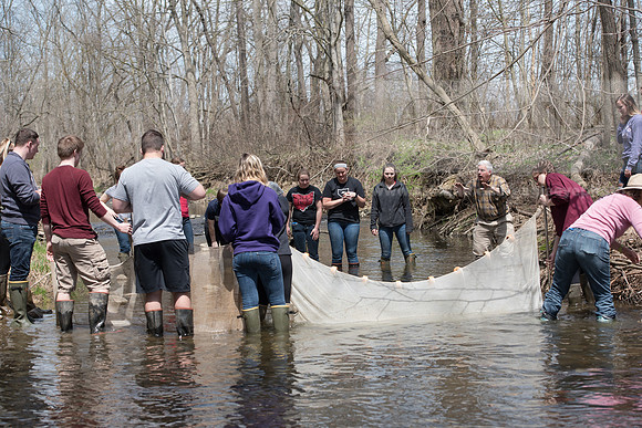 Biology Stream Clean Up - Canfield Preserve