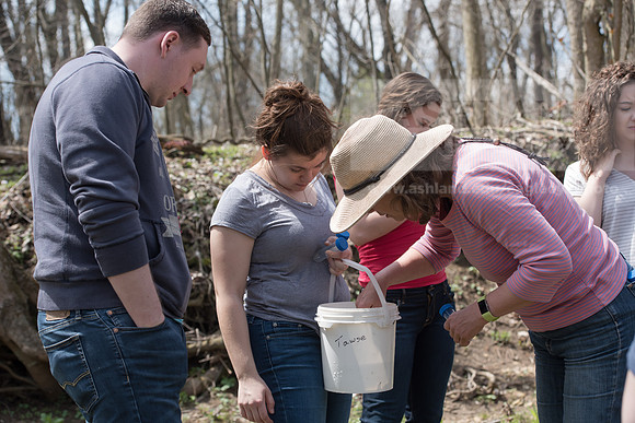 Biology Stream Clean Up - Canfield Preserve