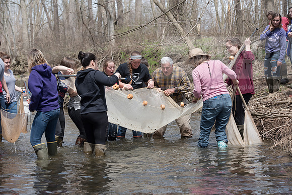 Biology Stream Clean Up - Canfield Preserve