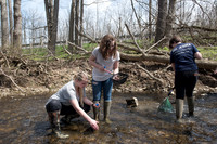 Biology Stream Clean Up - Canfield Preserve