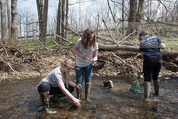 Biology Stream Clean Up - Canfield Preserve
