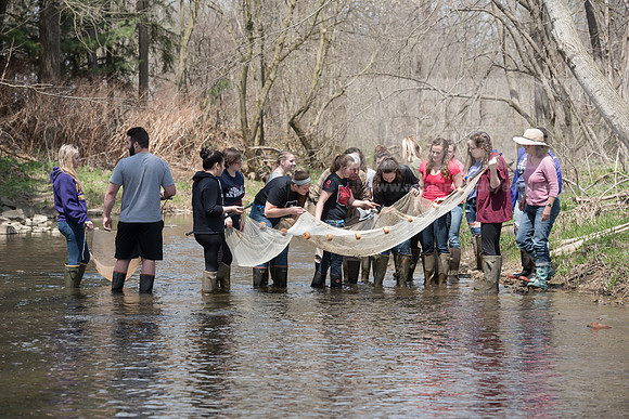 Biology Stream Clean Up - Canfield Preserve