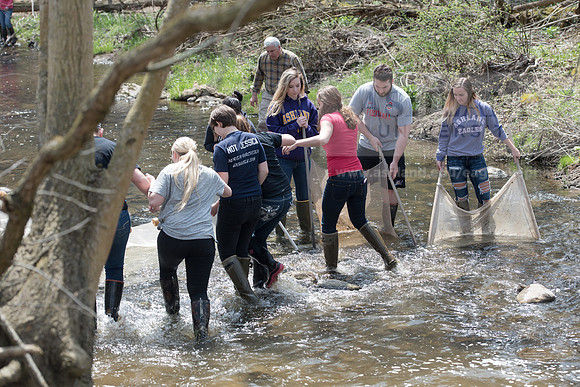 Biology Stream Clean Up - Canfield Preserve