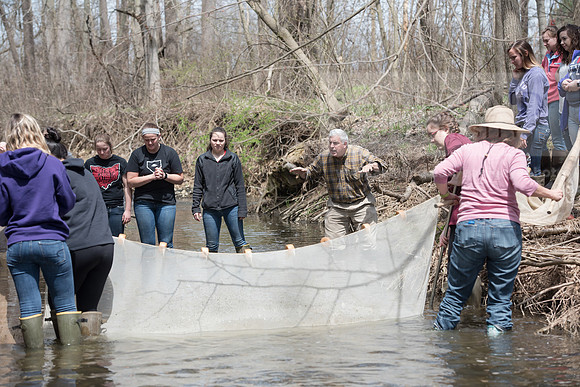 Biology Stream Clean Up - Canfield Preserve