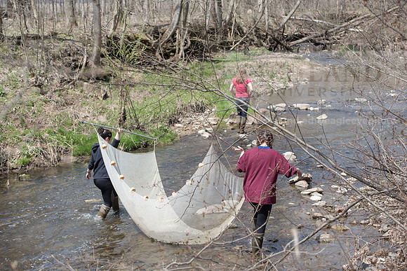 Biology Stream Clean Up - Canfield Preserve