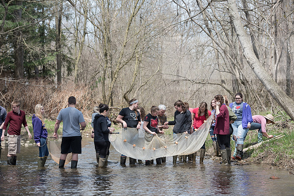 Biology Stream Clean Up - Canfield Preserve