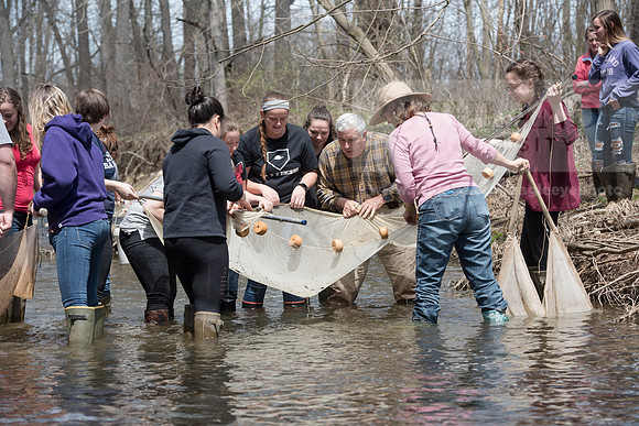 Biology Stream Clean Up - Canfield Preserve