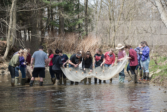 Biology Stream Clean Up - Canfield Preserve