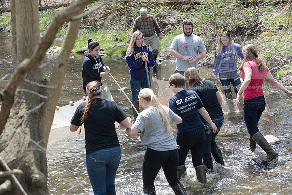 Biology Stream Clean Up - Canfield Preserve