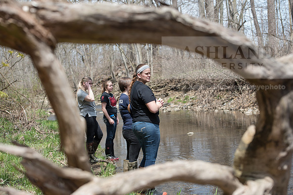 Biology Stream Clean Up - Canfield Preserve