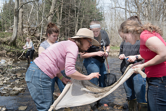 Biology Stream Clean Up - Canfield Preserve