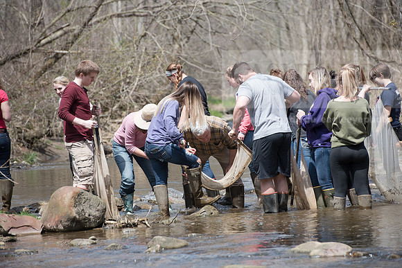 Biology Stream Clean Up - Canfield Preserve