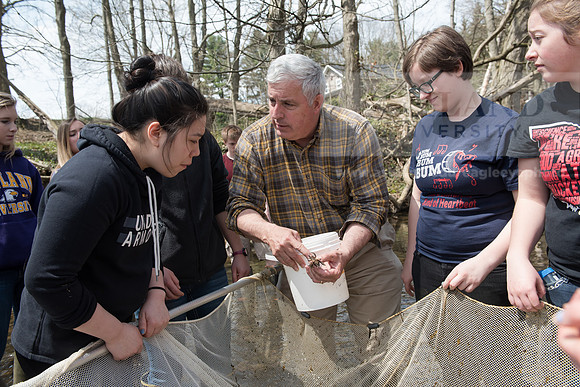 Biology Stream Clean Up - Canfield Preserve