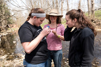 Biology Stream Clean Up - Canfield Preserve